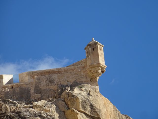 Alicante